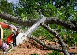 Best Lawn Maintenance Plans  in Pompton Plains, NJ