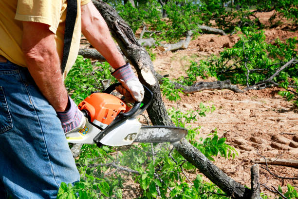 Best Hedge Trimming  in Pompton Plains, NJ